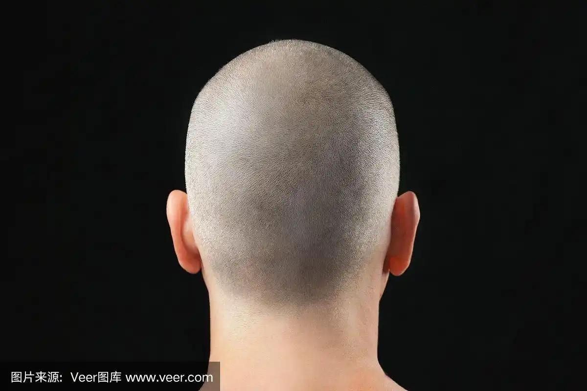 剃光头,背面视角,神父,慈善义演,美洲驼羊