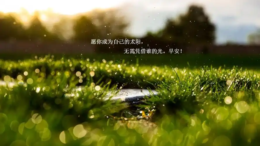 愿你成为自己的太阳1280x960分辨率查看