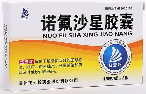 诺氟沙星胶囊价格对比36粒飞云岭药业