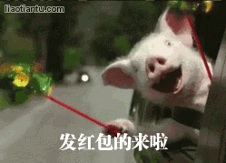 猪头表情在线动图写字