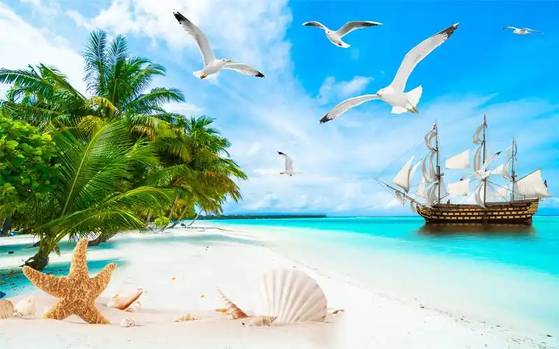 马尔代夫海景背景