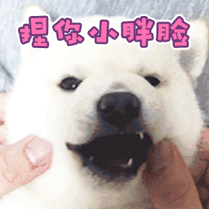 情侣日常聊天表情包实在太酸了情侣都是这样的吗