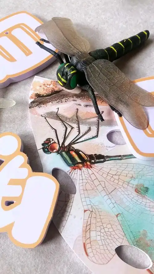 蜻蜓的成长过程,把自然定格,幼儿园环创美美哒#幼儿园环创#昆