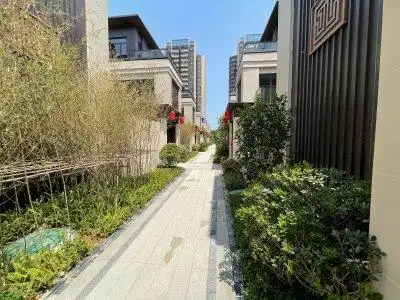 龙光江南院子(别墅),沙井大道,近智和路 - 南宁龙光江南院子(别墅)