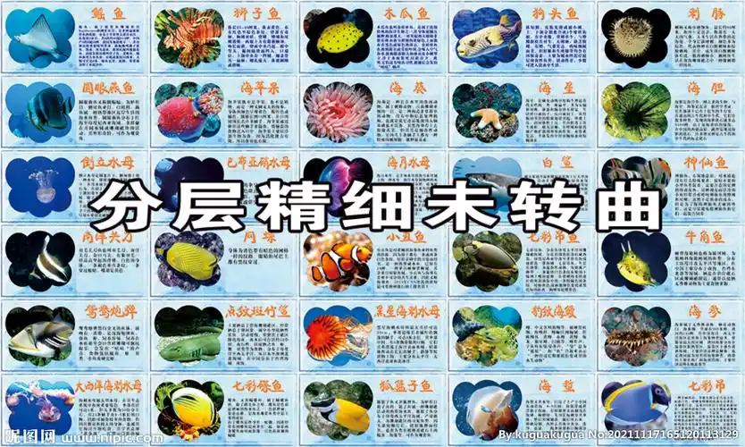 海洋生物简介