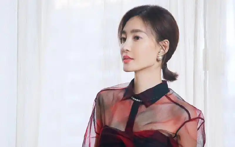 王丽坤优雅迷人写真桌面壁纸