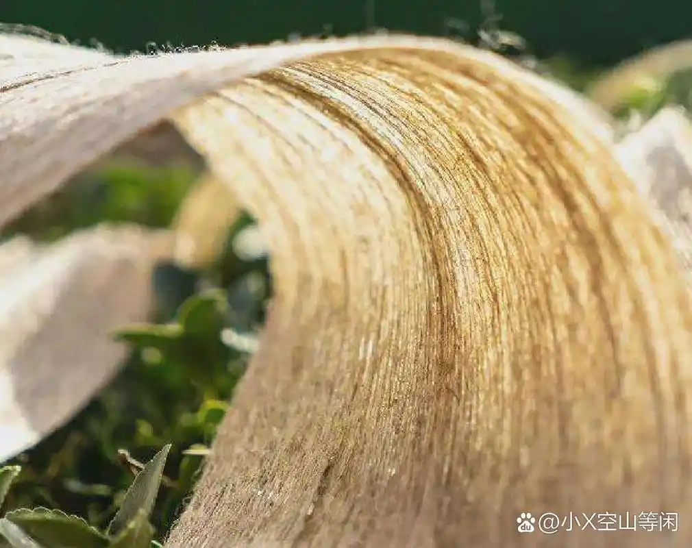 浅谈亚麻 分享   亚麻纤维是人类最早发现并使用的天然纤维.