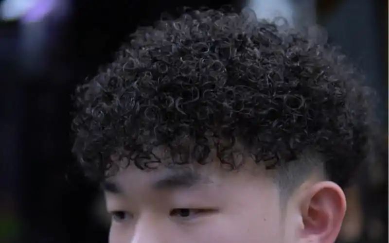 羊毛卷 绵羊卷 达州男士烫发 脏辫 美式拉美卷