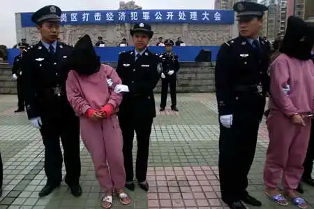 深圳市打击经济犯罪 公开处理非法卖地村官(图)