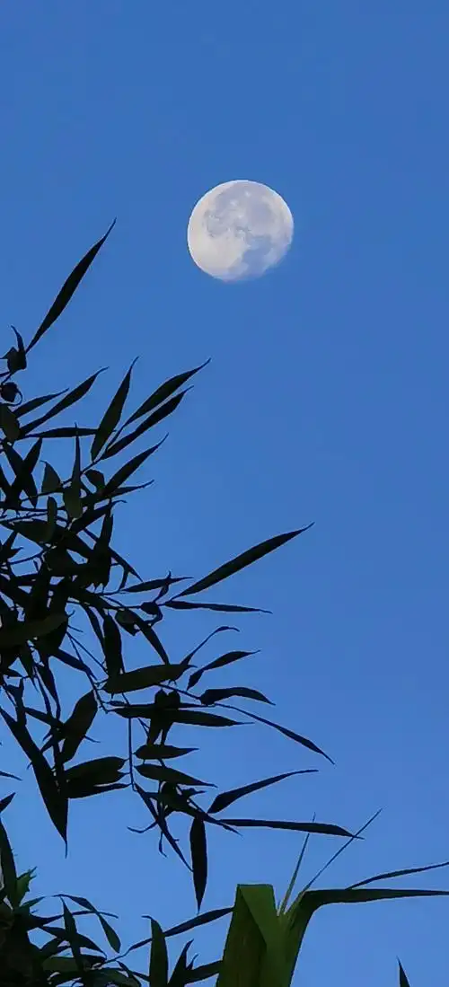 充满诗意的月亮