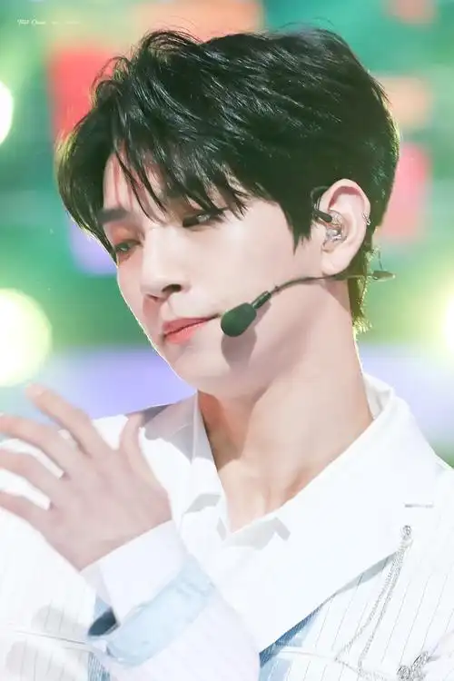 seventeenjoshua洪知秀