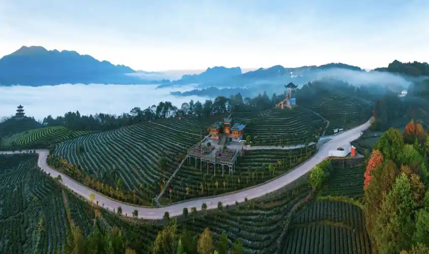 《湖北日报》头版报道了恩施市这个村_整治_排污口_生态