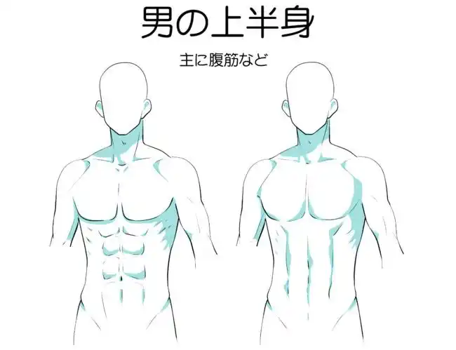 中国设计力量绘师季月エル的腹肌画法喜欢可以参考转需676767