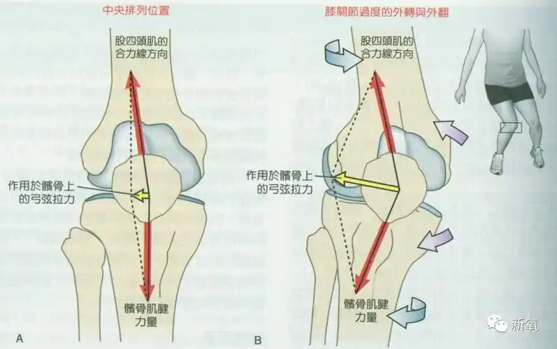 为什么说迪丽热巴是极品身材,看她的膝盖对比杨幂,江疏影的就知道了!