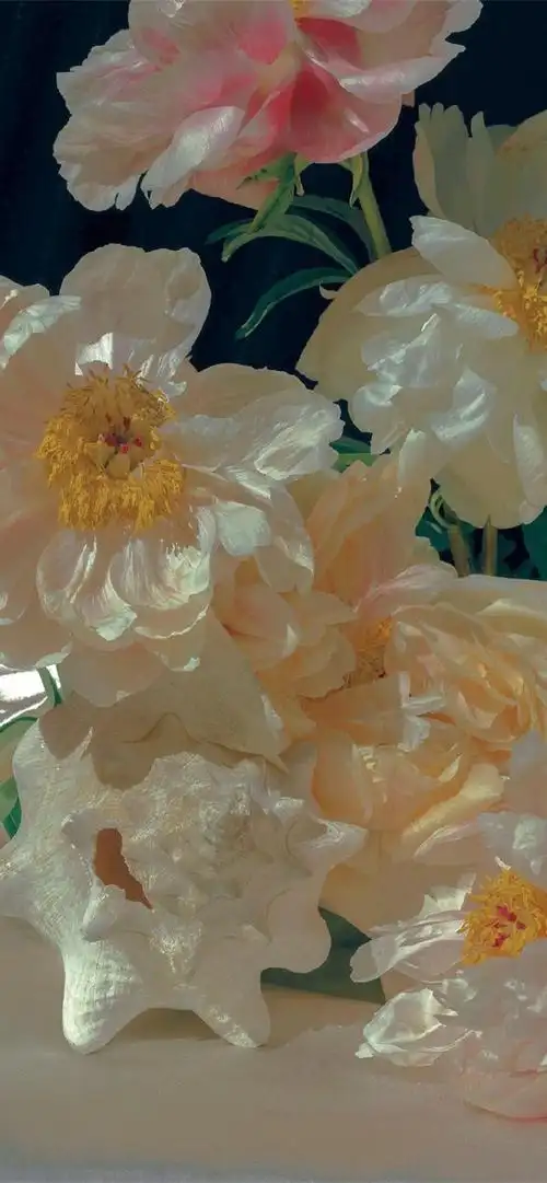 珠光- 堆糖,美图壁纸兴趣社区