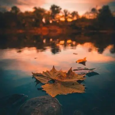 快手风景头像_480x480尺寸快手专用风景头像_第17页_qq头像_我要个性