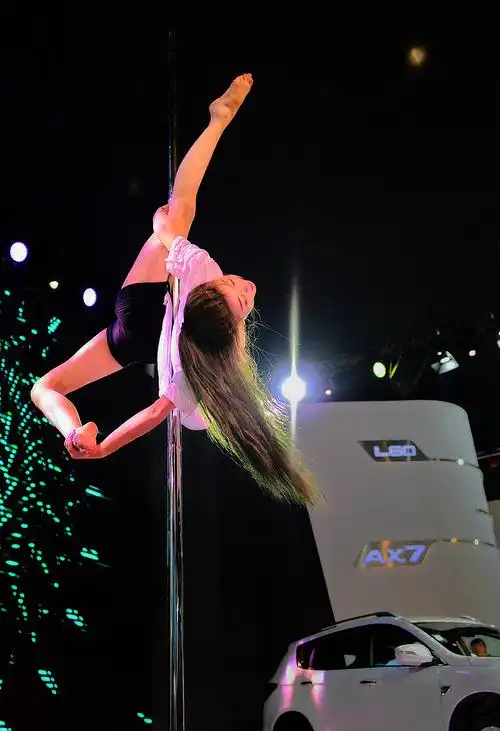 柔美与奔放成都车展钢管舞速记