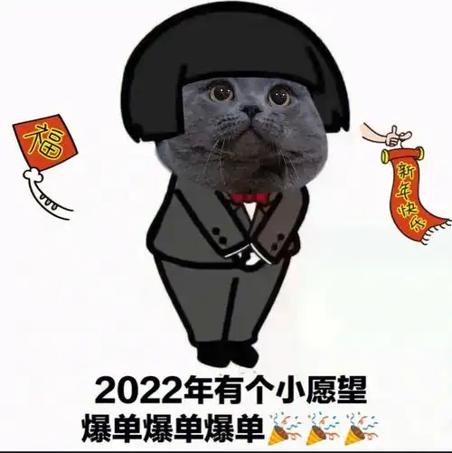 汤圆表情包分享2022年计划和2021年总结