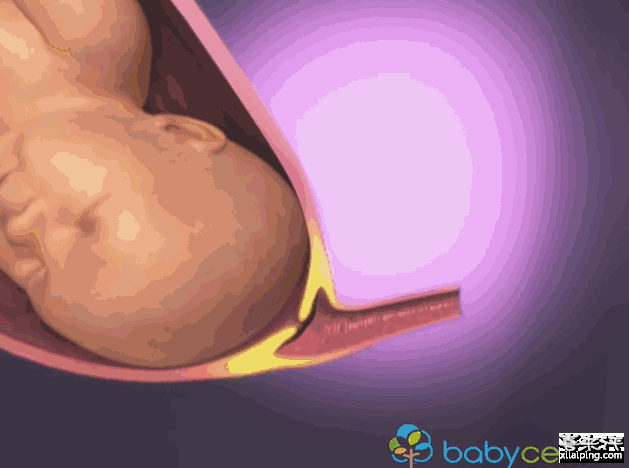 女人生产全过程,都来看看宝宝怎么出来的吧