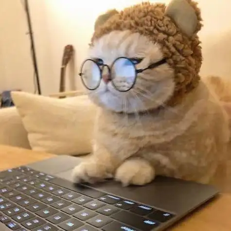 戴眼镜工作的猫猫头像 猫咪头像图片大全 -【爱个性】