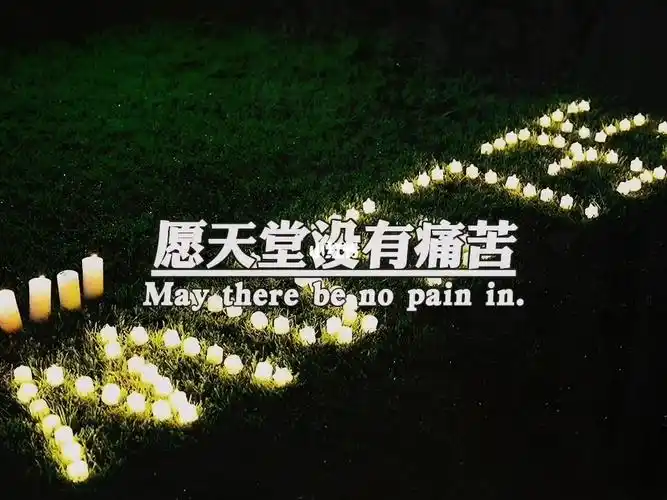 愿天堂没有痛苦