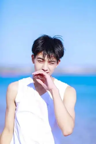 有无宋威龙早期硬照