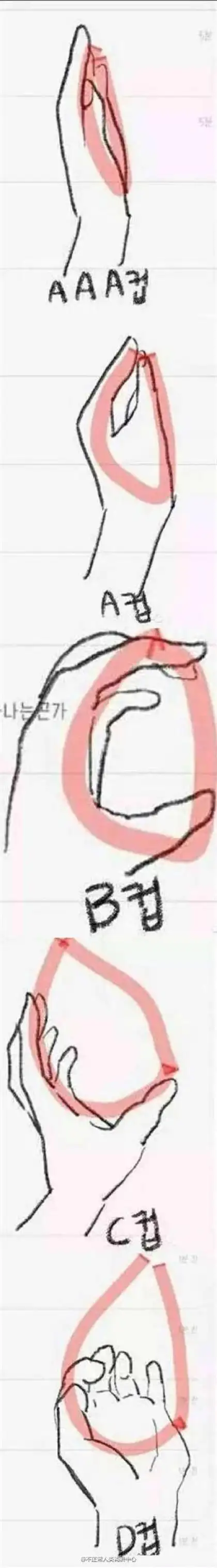 用手掌弧度测量罩杯大小的经验方法,准吗?