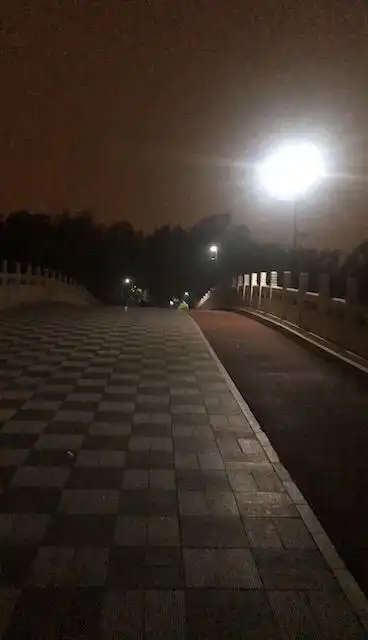 去朝阳公园散步都是一个人,这就是孤独