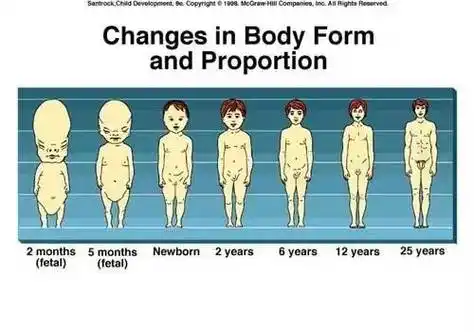 【儿童生长发育】体格生长的规律