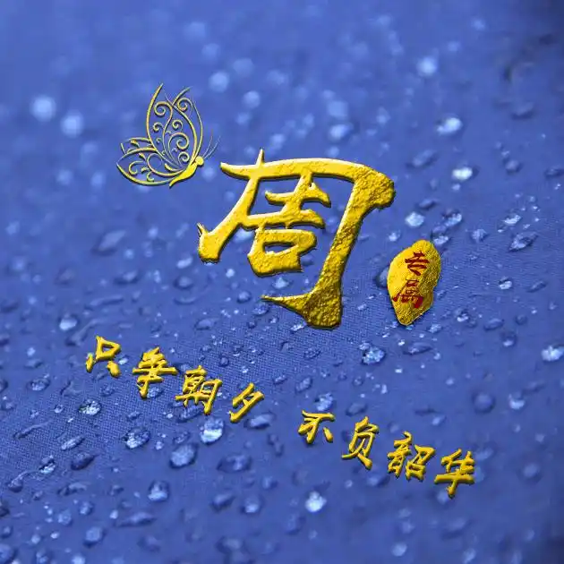 编号b02932张百家姓微信头像励志专属只争朝夕不负韶华