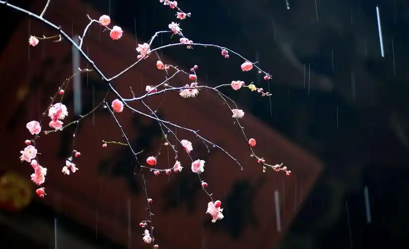 浙江杭州江南烟雨西湖春早