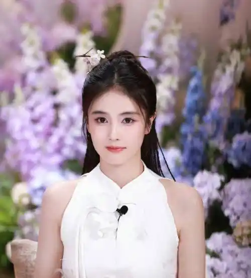 白鹿的紫色眼妆真的很漂亮,相比程潇的白玫瑰西装裙更加抢眼_发夹