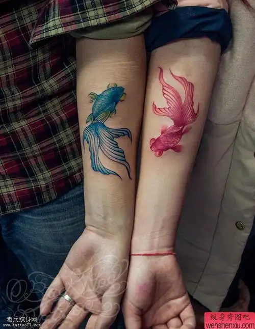 手臂情侣彩色金鱼文身图片 - 纹身秀