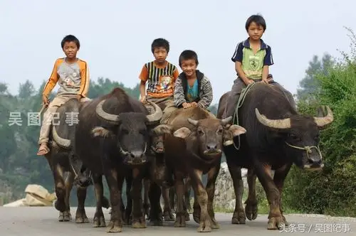 享受美好的童年时光,在贵州不少农村,离开学校的孩子们回到自己的村子
