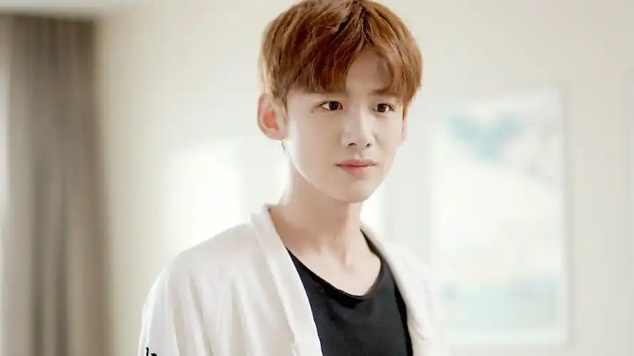 内地明星白敬亭明星风尚壁纸