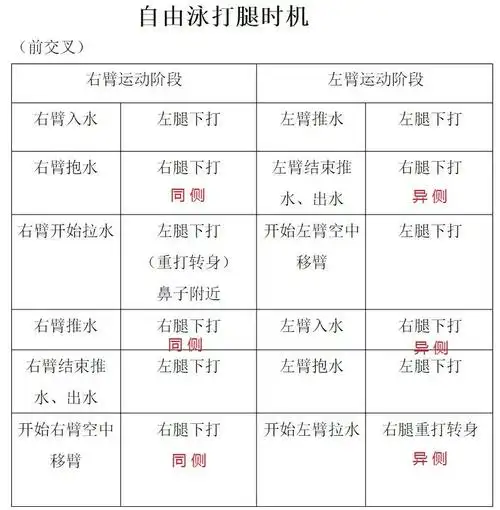 自由泳进阶 - 划手与打腿配合的频率及技巧