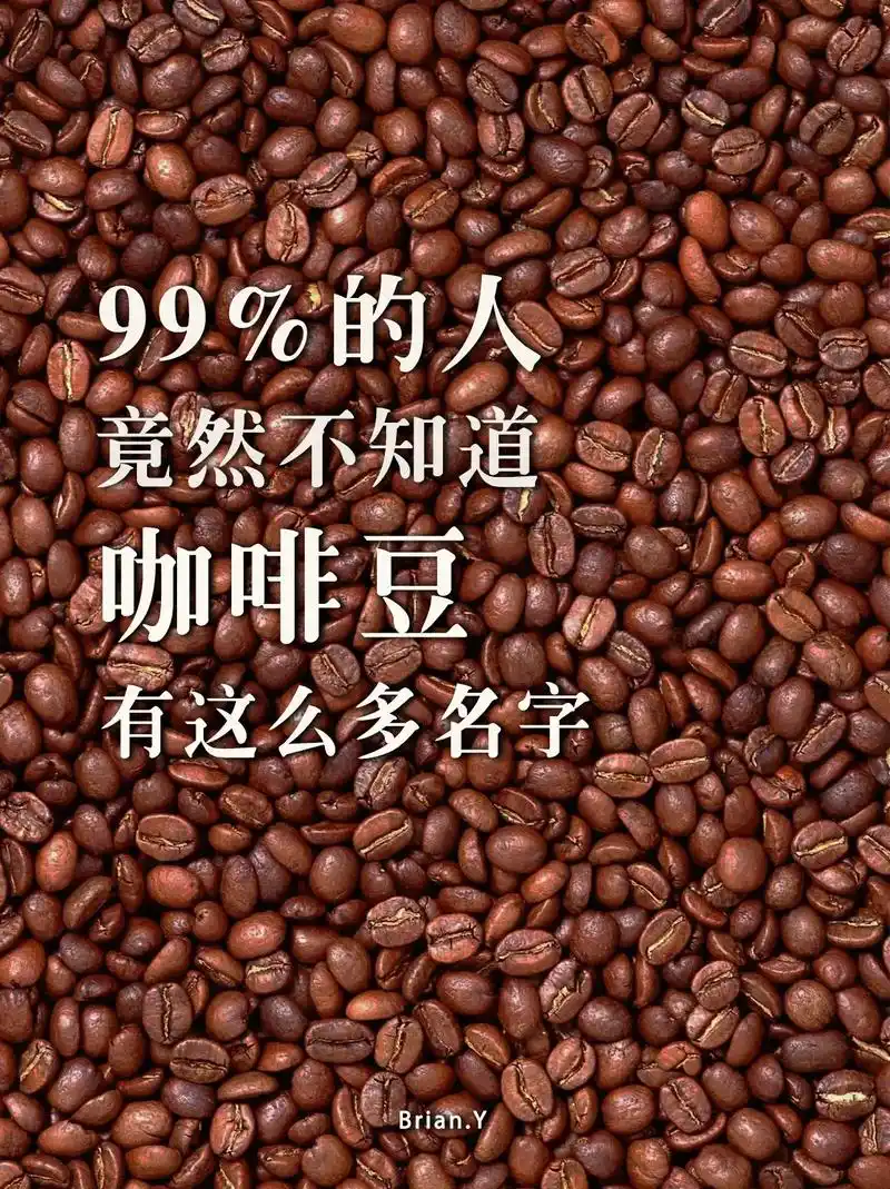 咖啡豆竟然有这么多名字 99%的人不知道.难道你只知道猫屎咖 - 抖音