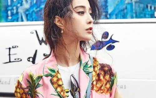 美女明星范冰冰高清街拍写真图片桌面壁纸下载