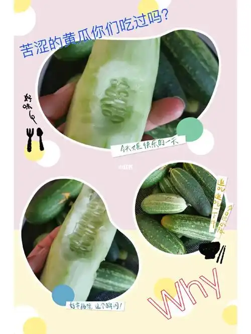 跪求大神们指点迷津黄瓜为啥是苦的
