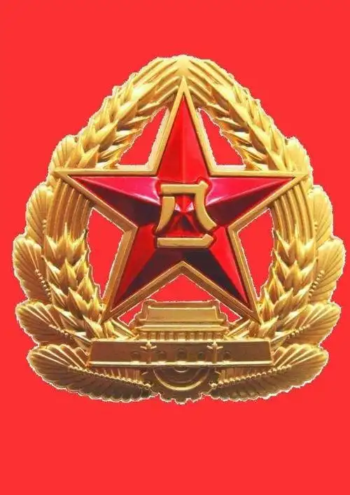 向八一建军节敬礼