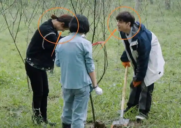 杨紫扶着树苗偷笑,有谁注意张艺兴看她的眼神?