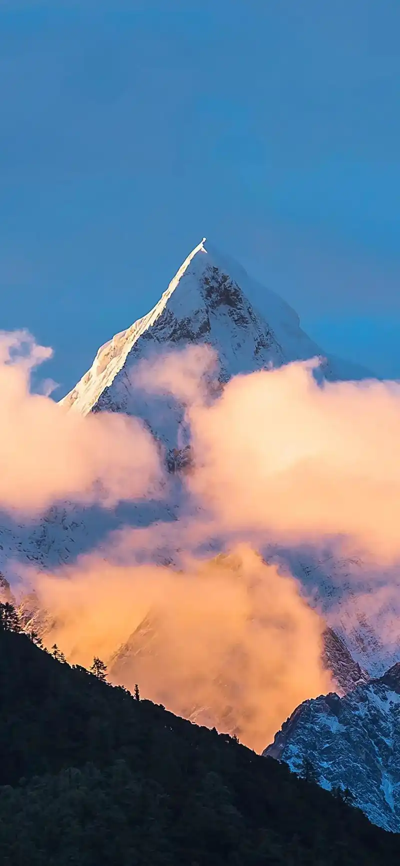 1242_2688竖版 竖屏