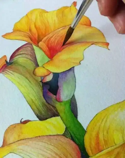 水彩画入门水彩花花干画法