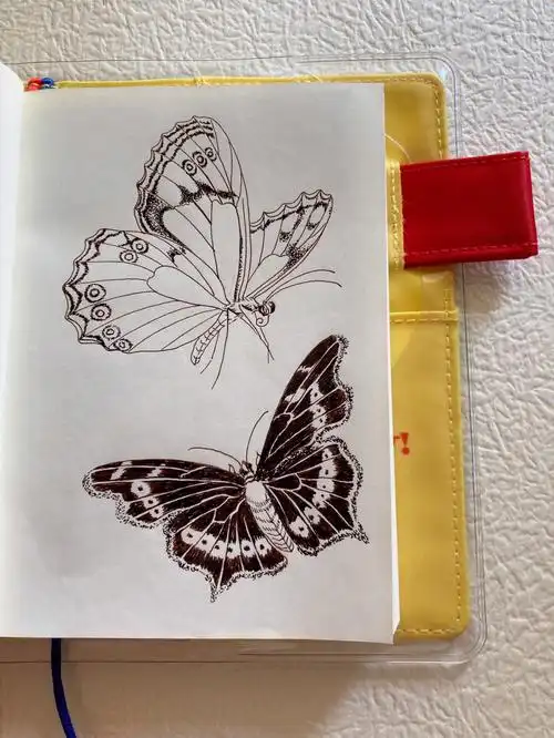 a6手帐本线描每日一画蝴蝶25