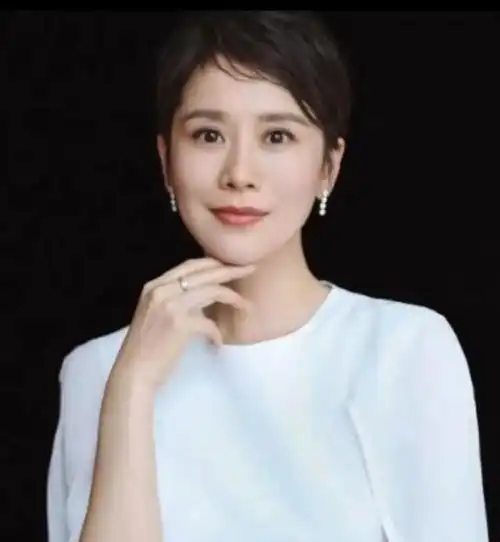 高度还原张桂梅46岁海清稳稳走上中年女演员的另一条大道