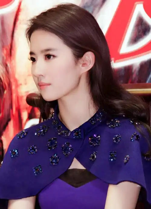 刘亦菲 电影《四大名捕2》上海发布会