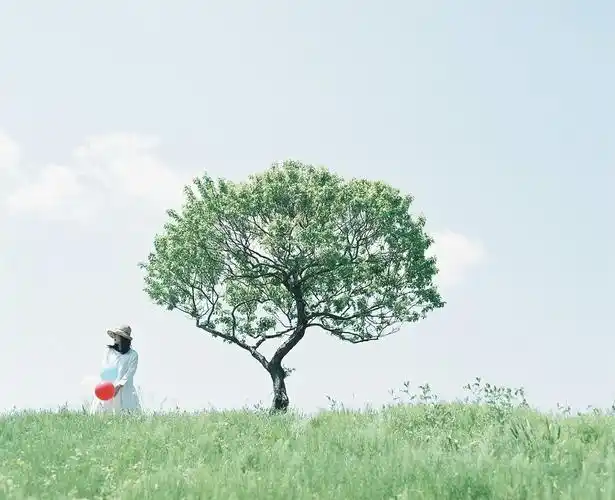 文艺星空:烟雨如墨,梦回江南