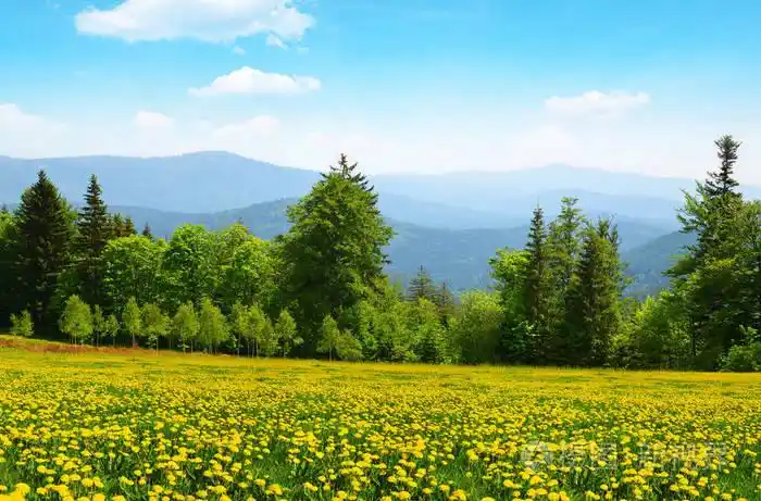 春天风景在国家公园巴法力亚森林, 德国