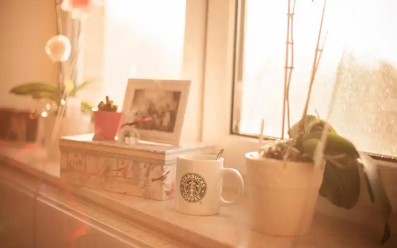 精选非主流治愈系温暖杯子高清唯美图片素材壁纸下载第二辑