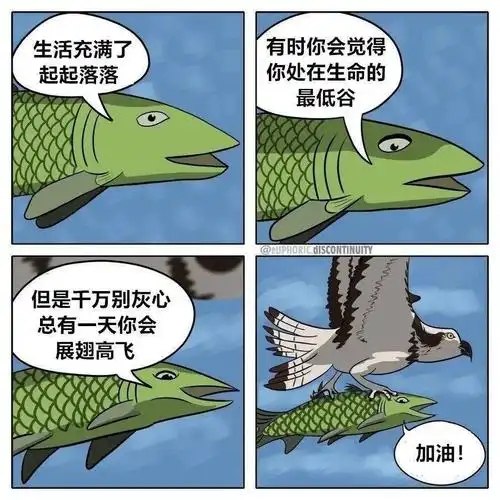 一波有趣的四格漫画